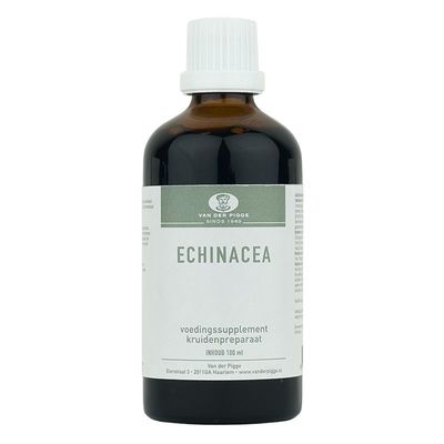 Echinacea purpurea
