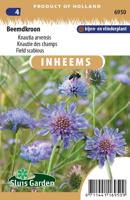 Inheemse Knautia arvensis Beemdkroon zaden