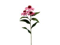 Kunstbloem rudbeckia roze, 62 cm - Buitengewoon de boet