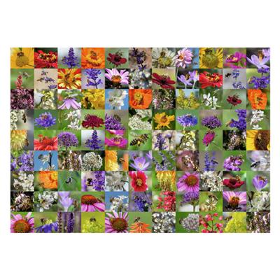 Ravensburger Legpuzzel 99 bijen, 1000st.