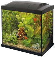 Superfish Start 30 Tropical Kit zwart