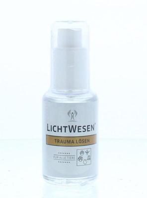Lichtwesen Trauma oplossen alle dieren