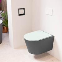 MONDIAZ LAVIE hangend toilet single fire rimless diepspoel Dark Grey, Toiletzitting met quick-release & softclose Greey