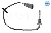 Sensor, uitlaatgastemperatuur 1148000051