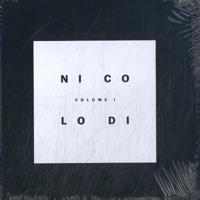 Renato Nicolodi. Ni Co Lo Di (Hardback)