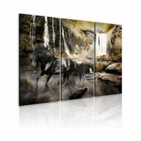 Schilderij - Zwart Paard voor Waterval, zwart/groen,  premium print , Wanddecoratie, 3luik