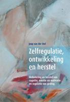 Zelfregulatie, ontwikkeling en herstel (Paperback)