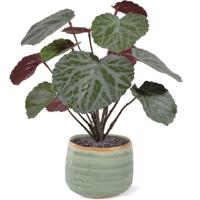 Saxifraga kunstplant 25cm - groen/rood