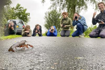 Natuurfotografie workshop Zouweboezem