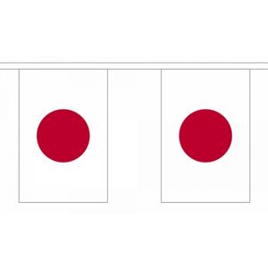 Luxe Japan vlaggenlijn 9 m
