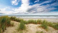 Strand wolk 130x70cm Tuinschilderij - Customize it