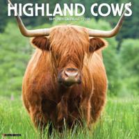 Schotse Hooglanders Kalender 2026