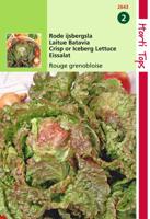 Kropsla Rouge Grenobloise - Hortitops