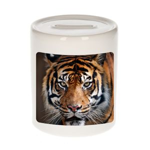 Foto tijger spaarpot 9 cm - Cadeau tijgers liefhebber
