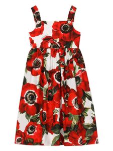 Dolce & Gabbana Kids robe mi-longue à imprimé Anemone - Rouge