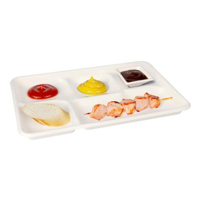 Wegwerp vakjes borden - 25x stuks - 22 x 32 x 2 cm - suikerriet - biologisch afbreekbaar