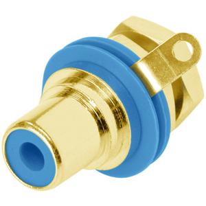 Rean AV NYS367-6-CON Cinch-connector Bus, inbouw verticaal Aantal polen: 2 Blauw 1 stuk(s)