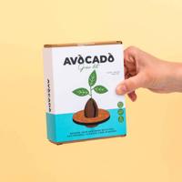 Kurken ontkiemset voor avocado's