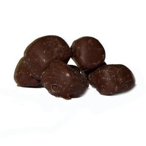 Mijnnatuurwinkel Chocolade gember puur (400 gr)