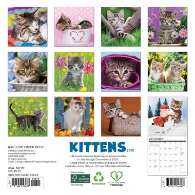 Kittens Kalender 2026 Mini