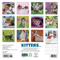 Kittens Kalender 2026 Mini