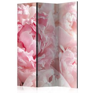 Vouwscherm - Pioenrozen, roze  135x172cm, gemonteerd geleverd, dubbelzijdig geprint (kamerscherm)