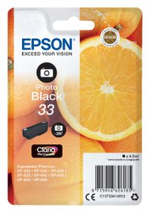 Inktcartridge Epson 33 T3341 foto zwart