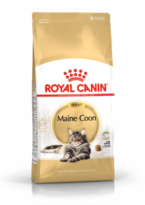 Royal Canin Maine Coon Adult droogvoer voor kat 10 kg Volwassen