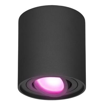 Ray smart Opbouwspot - Plafondspot - Kantelbaar - Rond GU10 - RGBWW - Wifi + Bluetooth - Google Home, Amazon Alexa en Siri - Zwart - Bestuurbaar via App en Stem