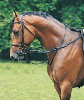 Pagony Thiedeman-teugel zwart maat:cob