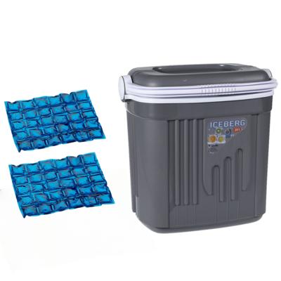 Koelbox kunststof - grijs - 20 liter - 39 x 28 x 38 cm - Inclusief 2x koelelementen Koelbox kunststof - grijs - 20 liter - 39 x 28 x 38 cm - Inclusief 2x koelelementen