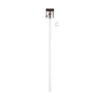 ifm Electronic LK1223 Elektronische niveausensor Voedingsspanning (bereik): 12 - 30 V/DC 1 stuk(s)