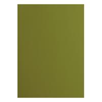Florence • cardstock papier 216g glad a4 olive 10x