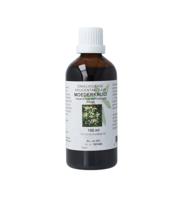 Tanacetum parthenium herb/moederkruid tinctuur