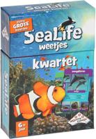 Boosterbox Sealife weetjes kwartet - kaartspel Boosterbox Sealife weetjes kwartet - kaartspel
