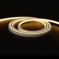 5 meter Neon Led Flex Warm Wit Midi Top View - losse strip