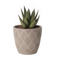 Form Plastic Plantenpot/bloempot New Age - kunststof - beige - D15 x H14 cm - thumbnail