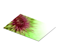 Stijlvolle distel placemat