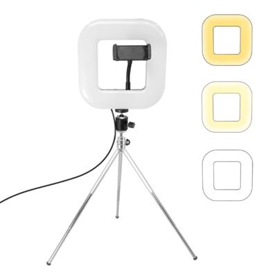 XWJ-D21C Dimbare LED vierkante lamp met statief netto rode Live vulling licht telefoon houder