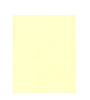 Papier A4 80 grams ivoor 100 vellen