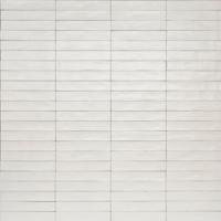 Ragno Wish RCGA Wandtegel 053X300 White 10Mm Mat