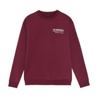 Rellix winter sweater jongens - rood - backprint