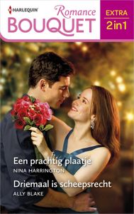 Een prachtig plaatje / Driemaal is scheepsrecht - Nina Harrington, Ally Blake - ebook