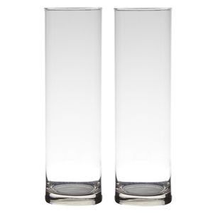 Set van 2x stuks transparante home-basics cylinder vaas/vazen van glas 30 x 9 cm