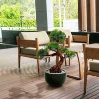 Ming Aralia Bonsai kunstboom op voet 90cm - groen - UV bestendig