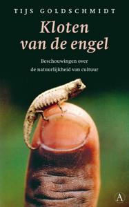 Kloten van de engel (Paperback)
