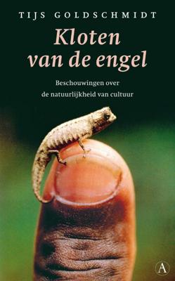 Kloten van de engel (Paperback)