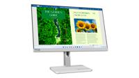 Lenovo L24m-40 computer monitor 60,5 cm (23.8") 1920 x 1080 Pixels Full HD LED Grijs