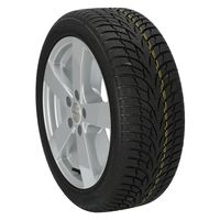 Nokian WR D3