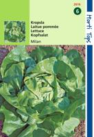 Zaden Kropsla Milan Hortitops - Hortitops